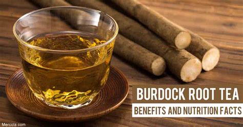 Burdock Root Tea Recipe | Besto Blog