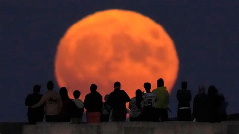 The Blue Supermoon: Photos and What to Know - The New York Times