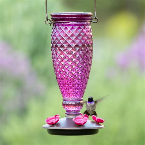 Perky pet hummingbird feeder - polizshares