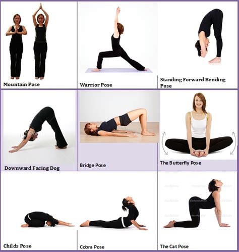 » Flexibility Training Wise Up Women's Wellness