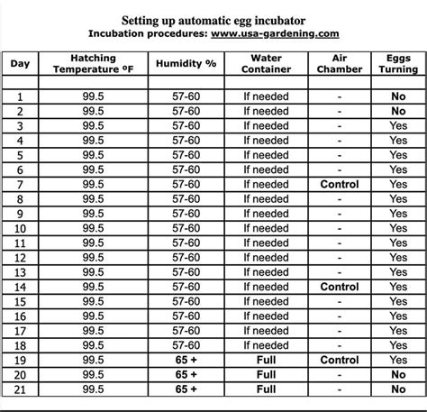 Best Chicken Incubator for Hatching Healthy Chicks