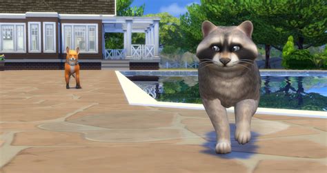 The Sims 4: Cats & Dogs Review - Sims Online