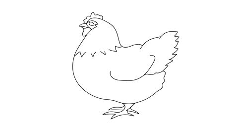 How To Draw A Chicken: Easy Step-By-Step Instructions - VerbNow