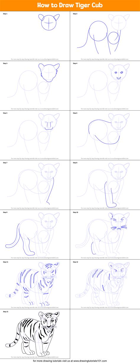 How to Draw Tiger Cub printable step by step drawing sheet ...