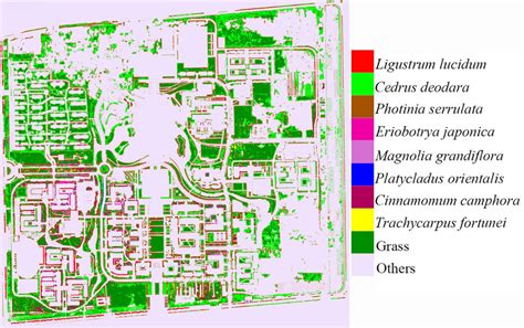 Classification map of the best feature combination. | Download ...