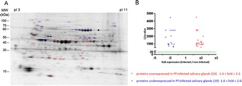 Differential salivary protein expression of An. gambiae infected or not ...