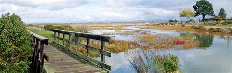 Santa Venetia Marsh - Marin County Parks