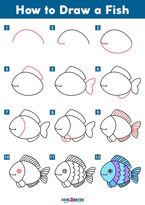 How To Draw Fish Step By Step