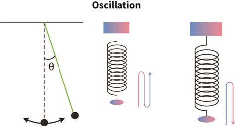 Oscillation | bartleby