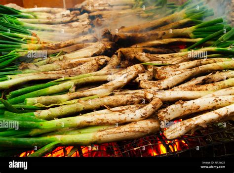 Calcot onion farming spain hi-res stock photography and images - Alamy