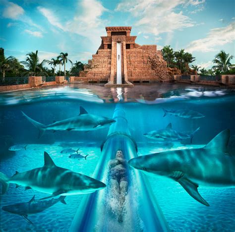 ATLANTIS AQUAVENTURE – Fun for EVERYONE during your Passover stay ...