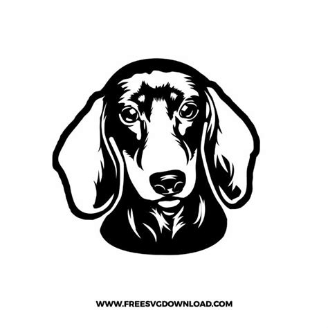 Dachshund SVG & PNG free dog cut files | Free SVG Download