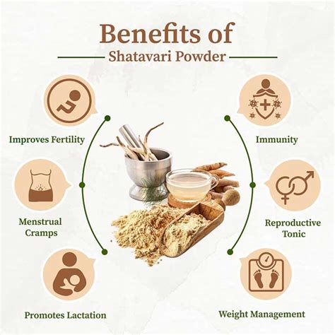 Boost Vitality with Shatavari Powder – Buy Now|Organic Gyaan