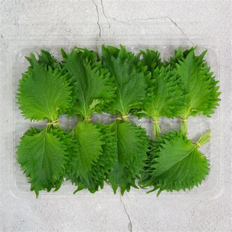 Oba (Shiso) / Perilla Leaf (Tray) - Soshinsen