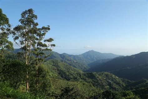 Blue Mountain Peak Hike