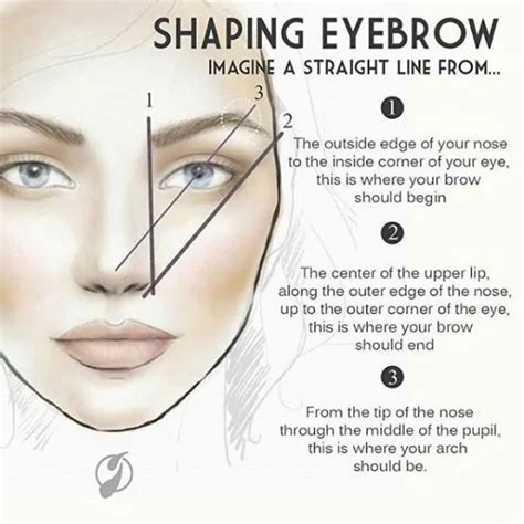 Simple Eyebrow Tips That Will Help You Get The Perfect Eyebrow Shape ...