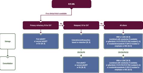 Acute myeloid leukaemia in adult patients: ESMO Clinical Practice ...