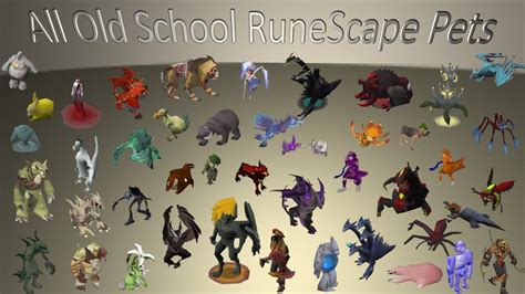 All Old School RuneScape Pets 4K - YouTube