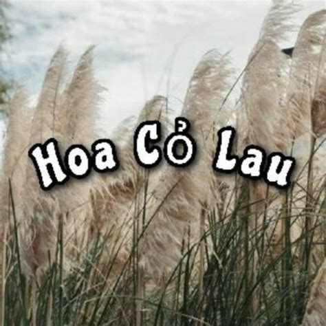 Stream Hoa Cỏ Lau - Tila Ho Cover by Kevin Đạo | Listen online for free ...