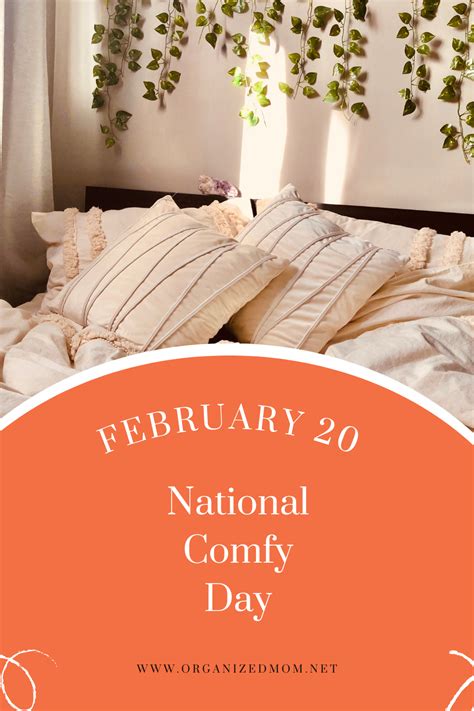 Celebrate February 20th National Comfy Day - The Organized Mom