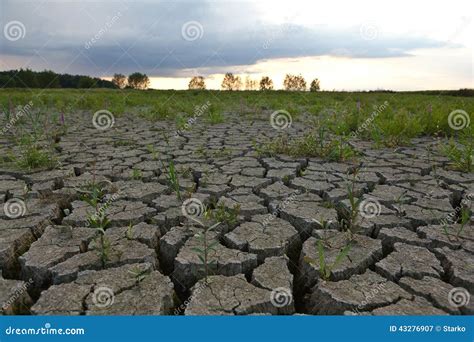 Cracked earth from drought stock image. Image of dust - 43276907