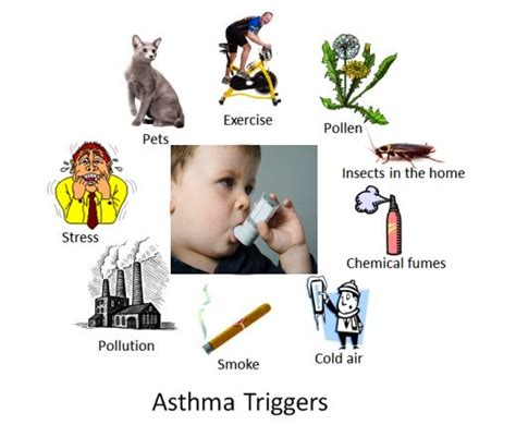 Factors That Can Trigger Asthma Attacks in Children