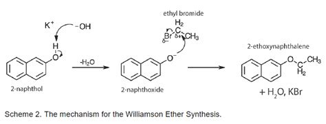 Solved What is the function of the potassium hydroxide? | Chegg.com