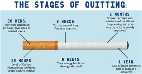 Best Ways to Quit Smoking - Philadelphia Holistic Clinic- Dr Tsan