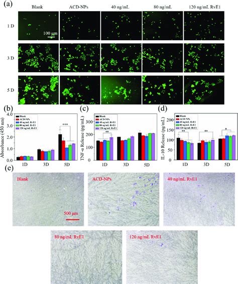 (a) Fluorescence images of Acridine Orange (AO) stained macrophages on ...