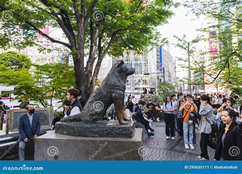 Hachiko Bronze Statue at Shibuya Station, Tokyo, Japan Editorial Photo ...