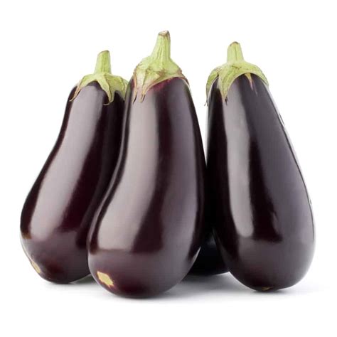 13 Best Italian Eggplant Varieties to Consider Growing