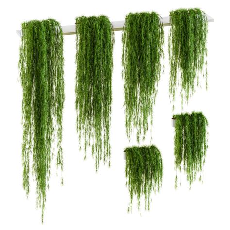 3D Model Hanging Plants Shelves 6 - TurboSquid 1231269