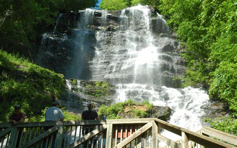 Amicalola Falls Appalachian Trail | Lilly Pad Village Blue Ridge