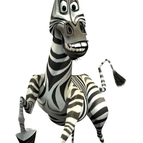 Madagascar Zebra Name