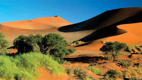 Namib | Location, Map, Climate, Plants, Animals, & Facts | Britannica