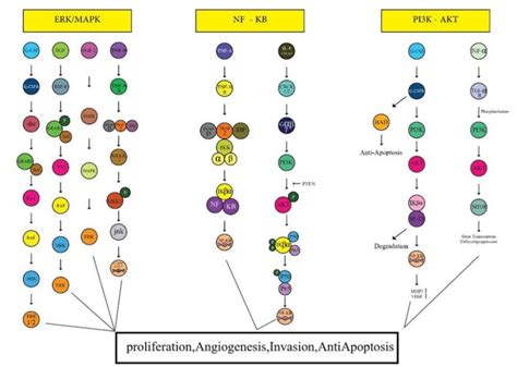 | The angiogenesis-inducing factors which induce cell angiogenesis ...