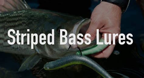 5 Best Striped Bass Lures of 2022 - Bass Tackle Lures