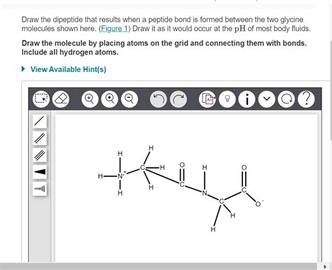 draw the dipeptide that results when a peptide bond is formed between ...