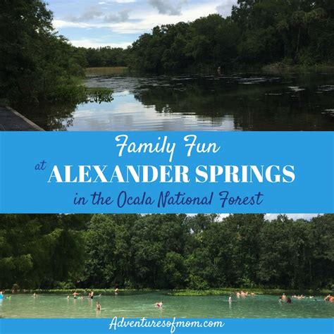 Family Fun at Alexander Springs | Adventures of Mom