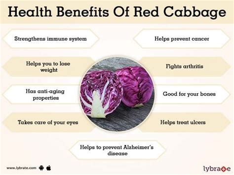 Benefits of Red Cabbage And Its Side Effects | Lybrate