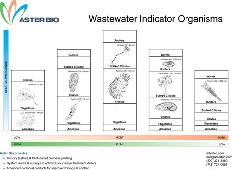 Useful Information - BIOLOGICAL WASTE TREATMENT EXPERT