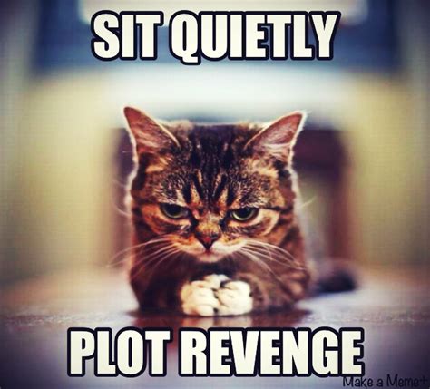 Plotting Revenge Funny Quotes. QuotesGram