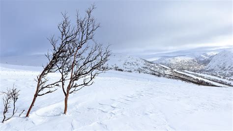 Norway Mountain Snow - Free photo on Pixabay