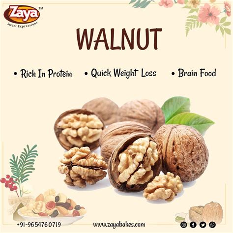 Walnut Benefits, Homemade Recipes, Dog Food Recipes, Rich In Protein ...