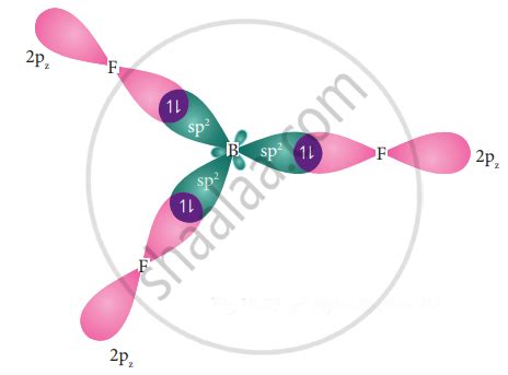 Explain Sp2 hybridization in BF3. - Chemistry | Shaalaa.com