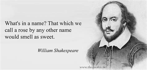 What’s in a Name?. Shakespeare wrote in Romeo and Juliet… | by Karen ...