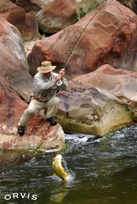 Orvis Fly Fishing Contest - dorau | Orvis fly fishing, Fly fishing ...