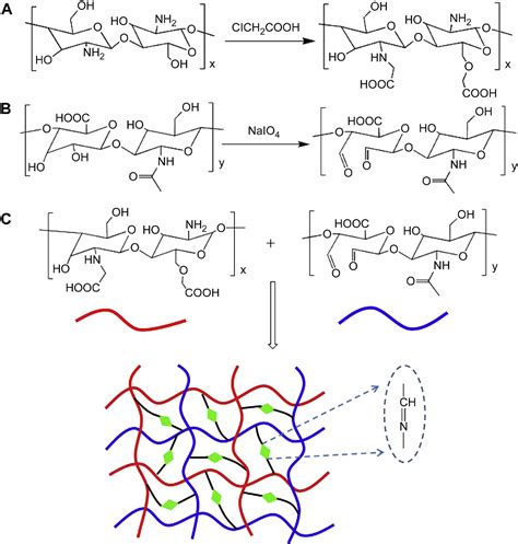 Figure 1 from Biodegradable and injectable in situ cross-linking ...