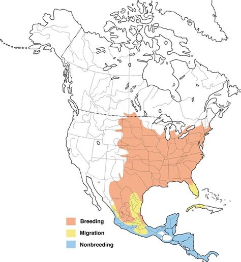 Baltimore Oriole Migration Map 2017