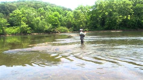 Fly Fishing the Clinch River - YouTube